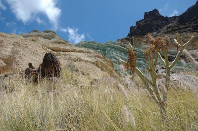 rocks and vegetation (3)