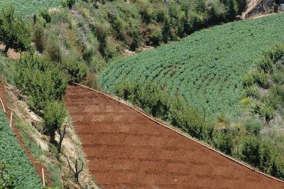 La tierra (4)