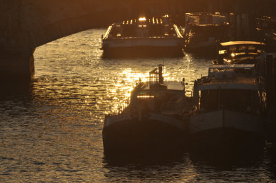 Golden river Seine