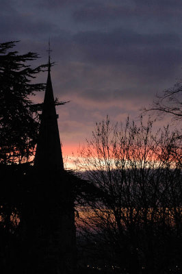 From my window this morning (January 31, 2008)