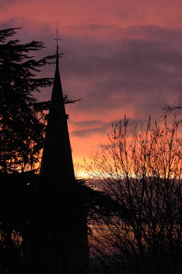 From my window this morning (January 31, 2008)
