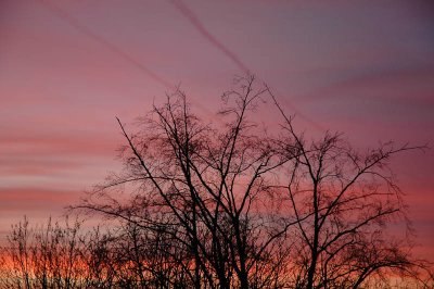 From my window this morning (February 3, 2008)