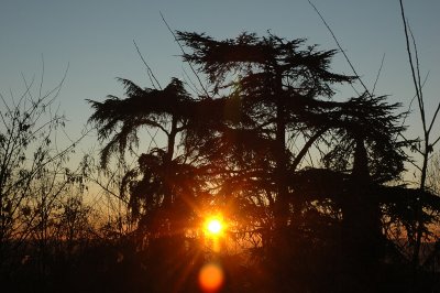 From my window this morning (February 9, 2008)