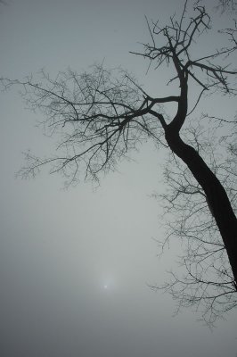 A foggy sunday morning