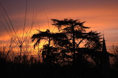 From my window this morning (February 26, 2008)