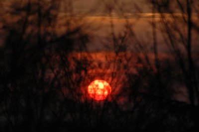 From my window this morning (February 26, 2008)