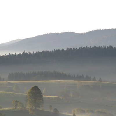 tomasz pawelek- landscape - 018.jpg