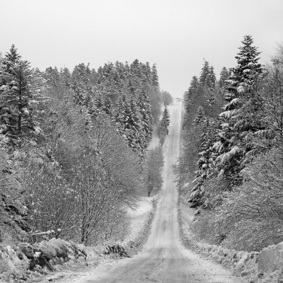 tomasz pawelek- landscape - 017.jpg