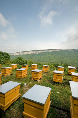 bulgaria 2009 - changing monastery - plateau view with beehive.jpg