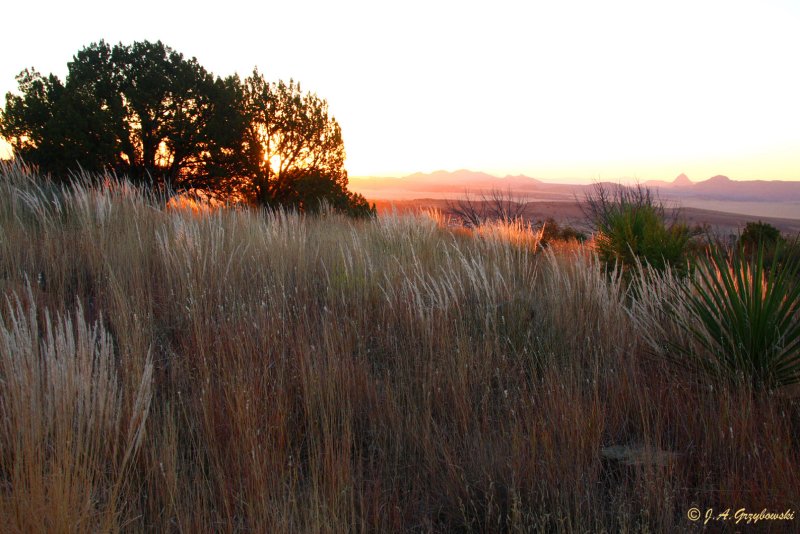 Sunrise from Davis Mountains State Park, TX