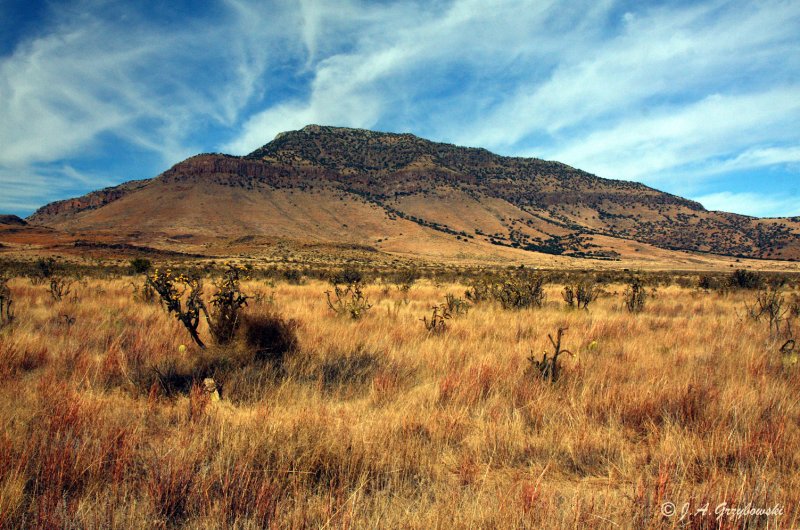 Davis Mountains, Trans Pecos of Texas