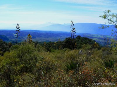foothills west of Volcan de Colima