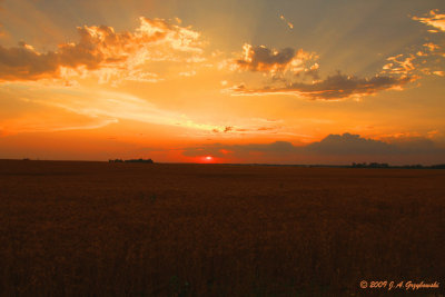 Oklahoma sunset