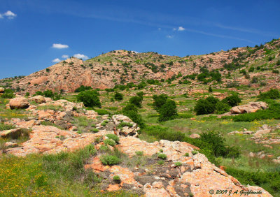 scene in Wichita Mountains