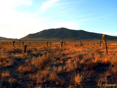 high desert of Zacatecas