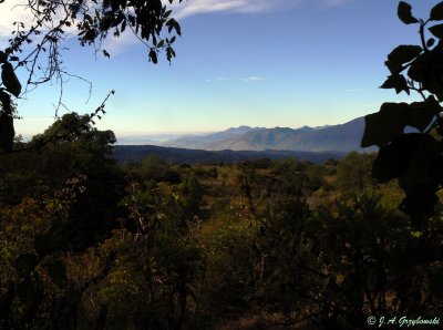 view of foothills from hike upslope