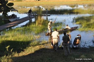 canoe_mokoro_boat_trip_on_delta