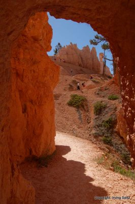 DSC_0064a.JPG