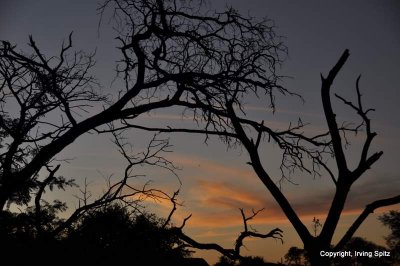 sunrise_sunset