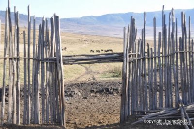 Boundary fence of compound