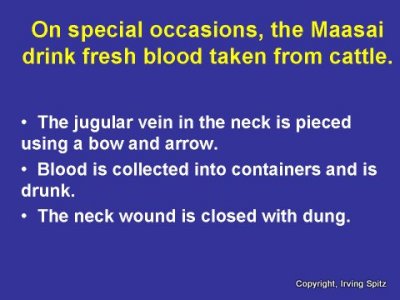 Slide1-1.JPG