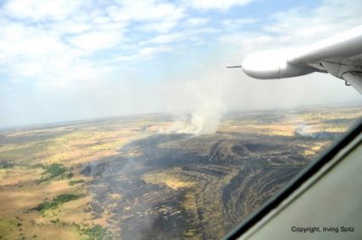 View of Serengeti from plane 2.JPG