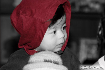 IMG_0998b-em.jpg
