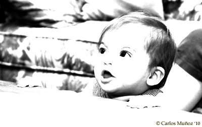 pb_7141b-bw2.jpg