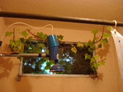 g1/23/926723/3/116566510.uUEnYGPu.jpg