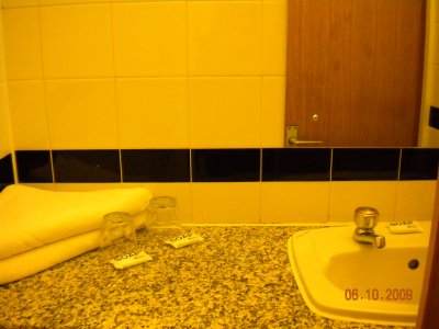 the bathroom sink.jpg
