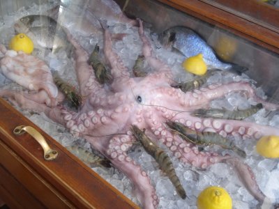 Fresh Octopus.jpg