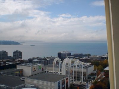 View from Space Needle (11).jpg