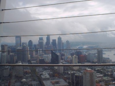 View from Space Needle.jpg