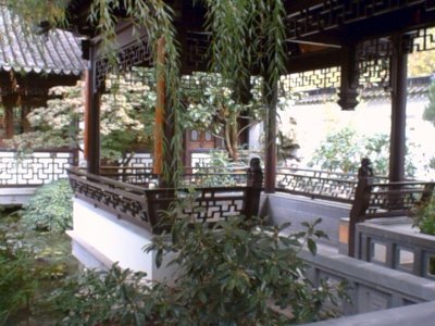 Chinese Garden (2).jpg