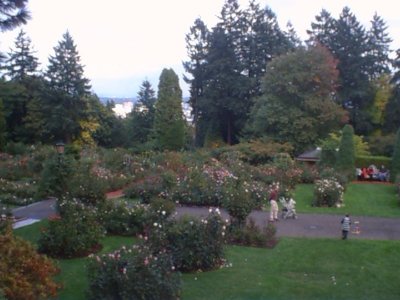 Test Rose Garden (2).jpg