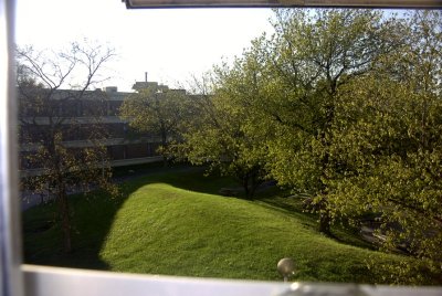 View From Dorm Room.jpg