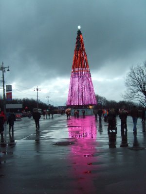 Lighted Tree in Moscow.jpg
