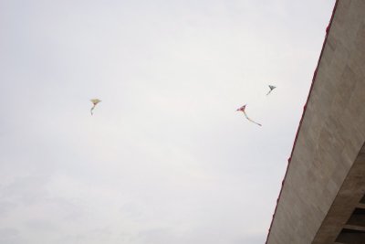 Kites at Monas (3).jpg