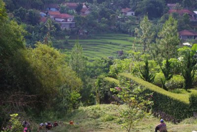 Hills Near Bandung (4).jpg