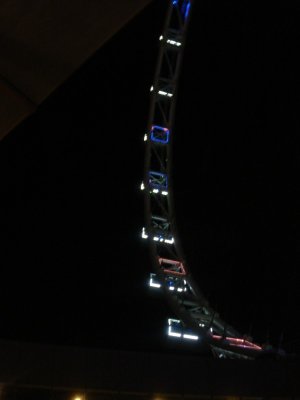 Singapore Flyer at Night (3).jpg