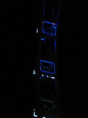 Singapore Flyer at Night (4).jpg