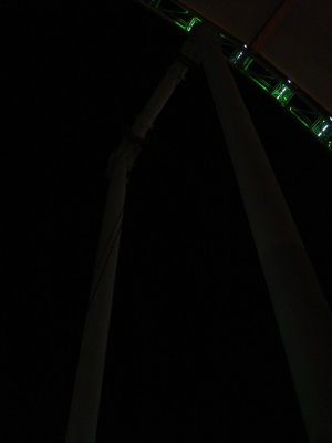 Singapore Flyer at Night (6).jpg