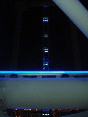 Singapore Flyer at Night (8).jpg