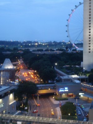 Singapore Flyer at Night.jpg