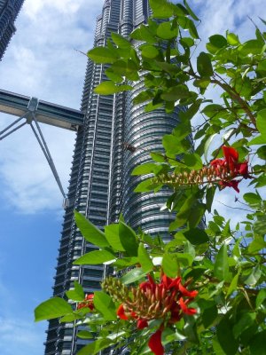 Petronas Towers Perspective (2).jpg