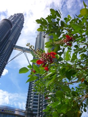 Petronas Towers Perspective (3).jpg