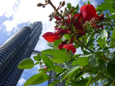 Petronas Towers Perspective (4).jpg