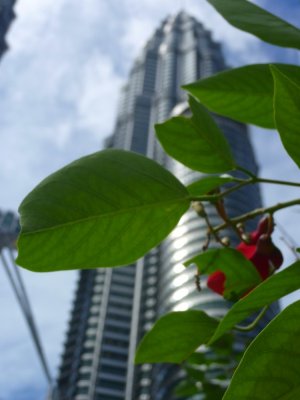 Petronas Towers Perspective.jpg