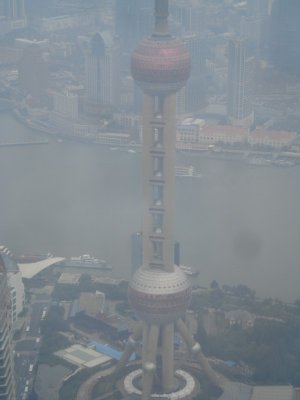 Oriental Pearl from Shanghai World Financial Center (2).jpg