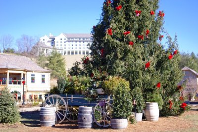 Antler Hill Village